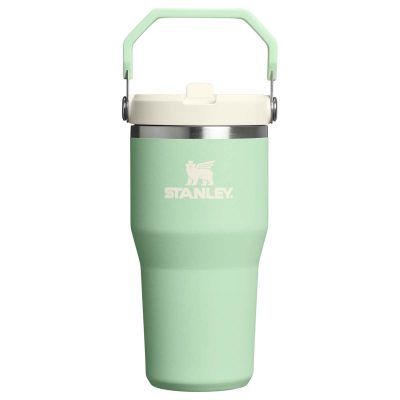 Stanley The IceFlow™ Flip Straw 2.0 Tumbler 0.6L / 20oz Pistachio